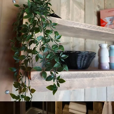 Luksusowy namiot Luxe En Romantische Overnachting 4 Personen Grumpy